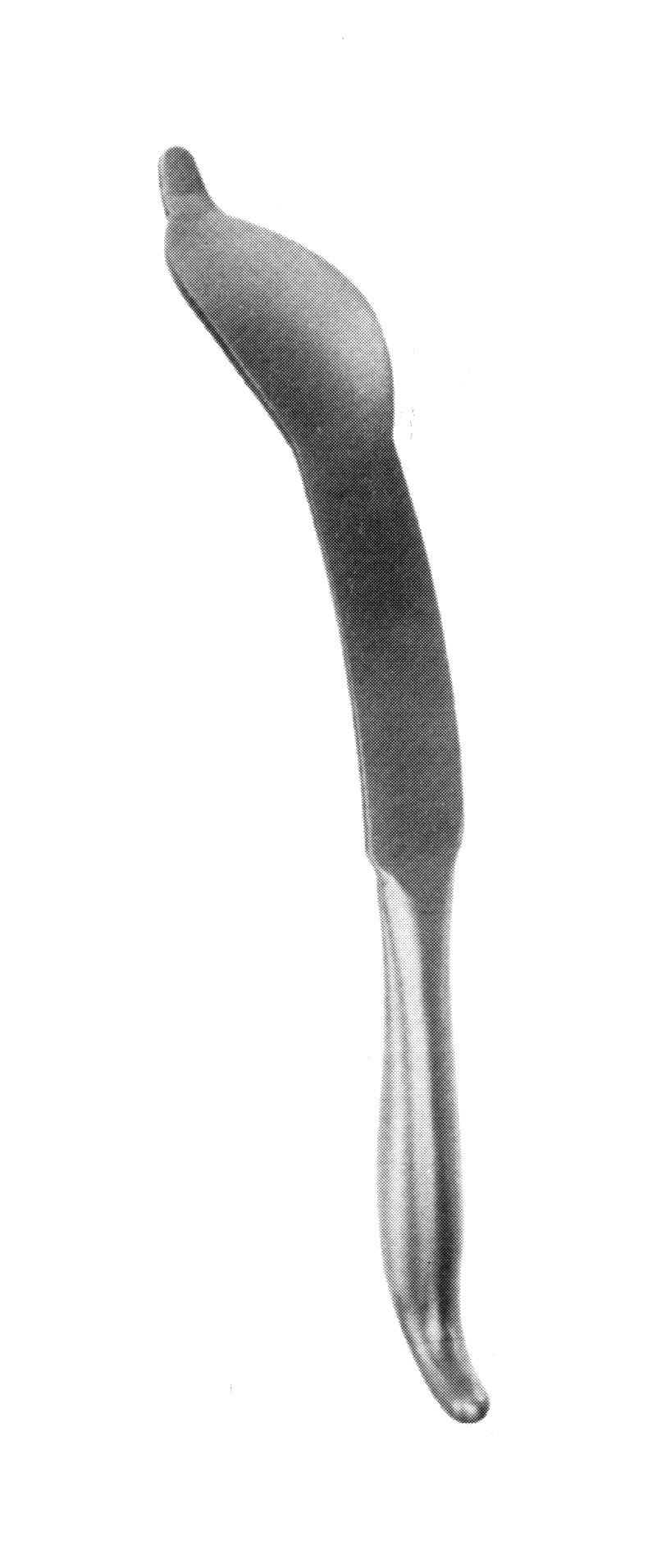 AUFRANC KEMİK LEVYESİ 29CM